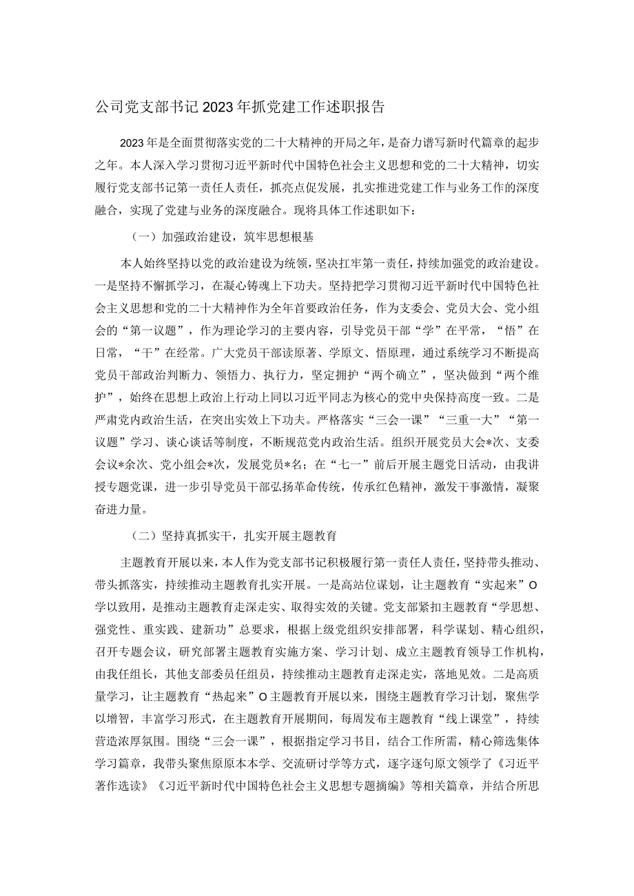 公司党支部书记2023年抓党建工作述职报告.docx_第1页