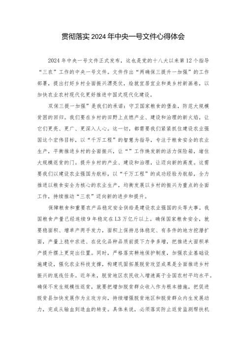 （9篇）贯彻落实2024年中央一号文件心得体会.docx