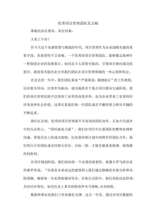 优秀项目管理团队发言稿.docx