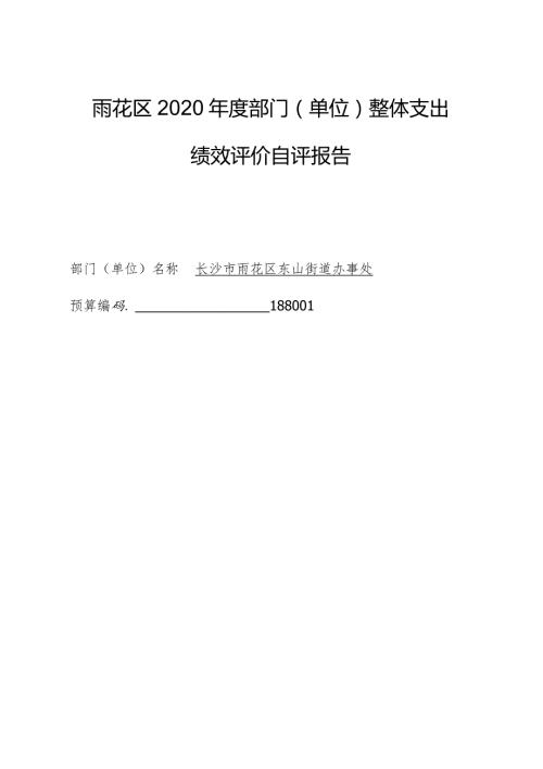雨花区2020部门单位整体支出绩效评价自评报告.docx