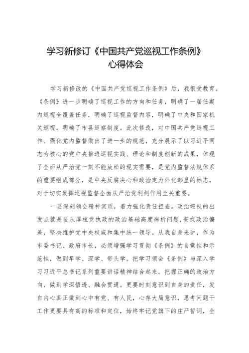 领导干部学习2024版新修订《中国共产党巡视工作条例》心得体会14篇.docx