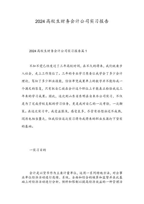2024大学生财务会计公司实习报告精选范文.docx