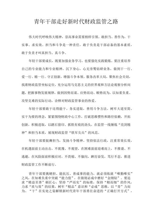青年干部走好新时代财政监管之路.docx