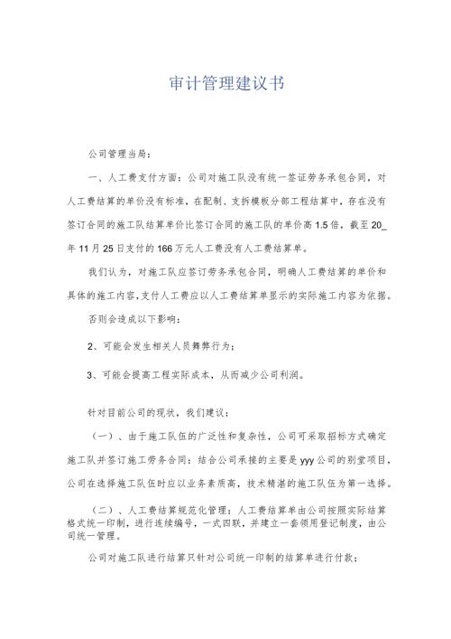 审计管理建议书.docx