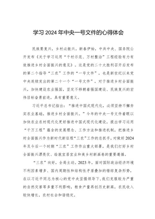 2024年中央一号文件的心得体会优秀范文十四篇.docx