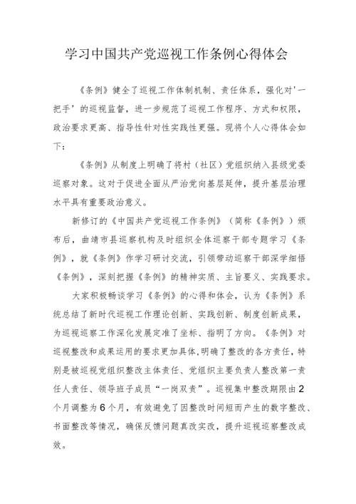 幼儿园教师学习中国共产党巡视工作条例个人心得体会.docx