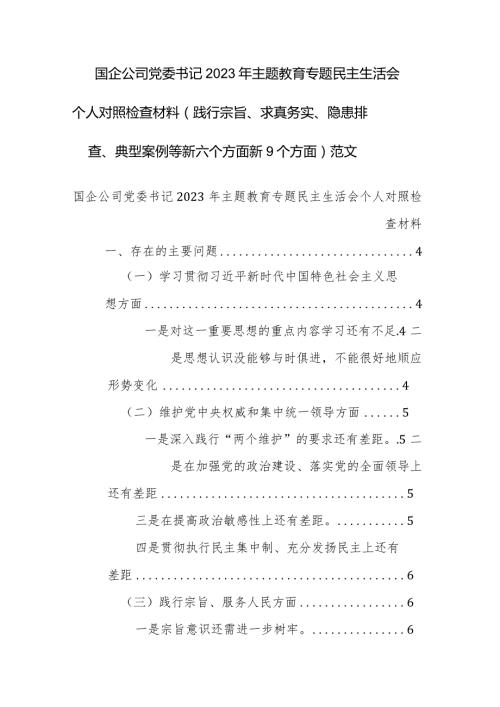 国企公司党委书记2023年主题教育专题民主生活会个人对照检查材料（践行宗旨、求真务实、隐患排查、典型案例等新六个方面新9个方面）范文.docx