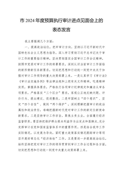 市2024预算执行审计进点见面会上的表态发言(2).docx