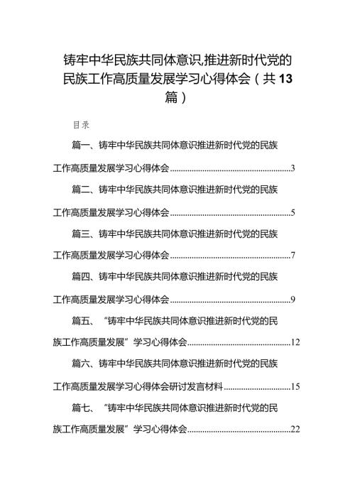 铸牢中华民族共同体意识,推进新时代党的民族工作高质量发展学习心得体会范文13篇（最新版）.docx