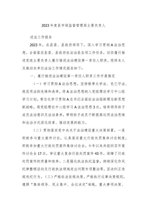 2023县市场监督管理局主要负责人.docx