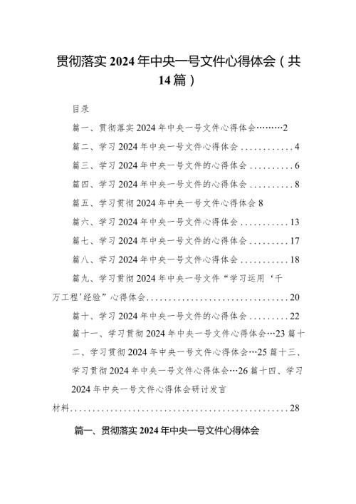 贯彻落实2024年中央一号文件心得体会14篇（精选版）.docx