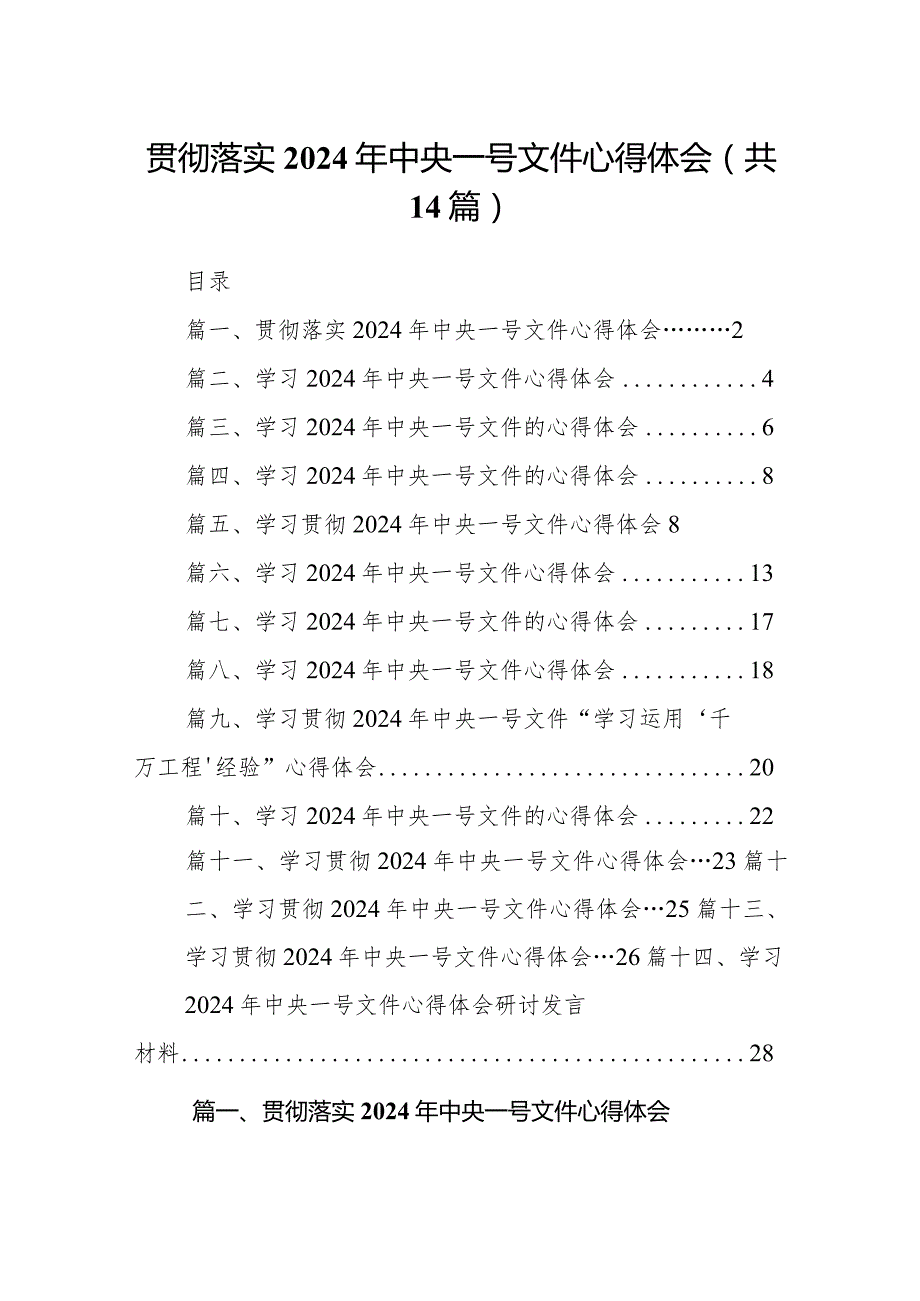 贯彻落实2024年中央一号文件心得体会14篇（精选版）.docx_第1页