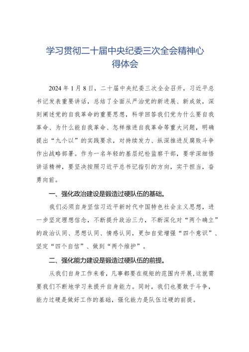 基层纪检干部学习贯彻二十中央纪委三次全会精神心得体会(25篇).docx