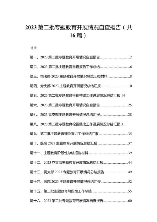 第二批专题教育开展情况自查报告16篇(最新精选).docx