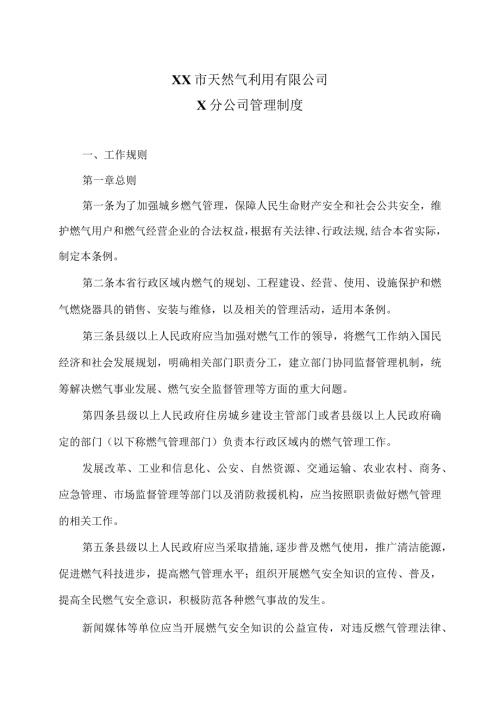 XX市天然气利用有限公司X分公司管理制度（2024年）.docx