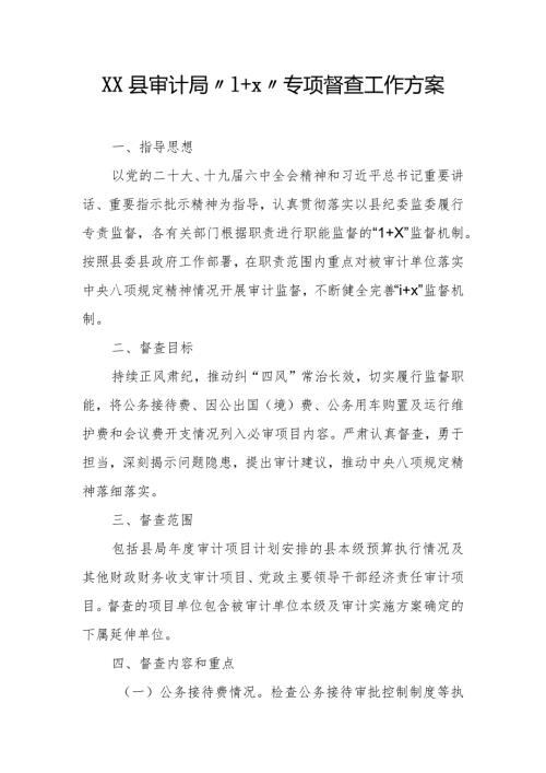 XX县审计局“1+X”专项督查工作方案.docx