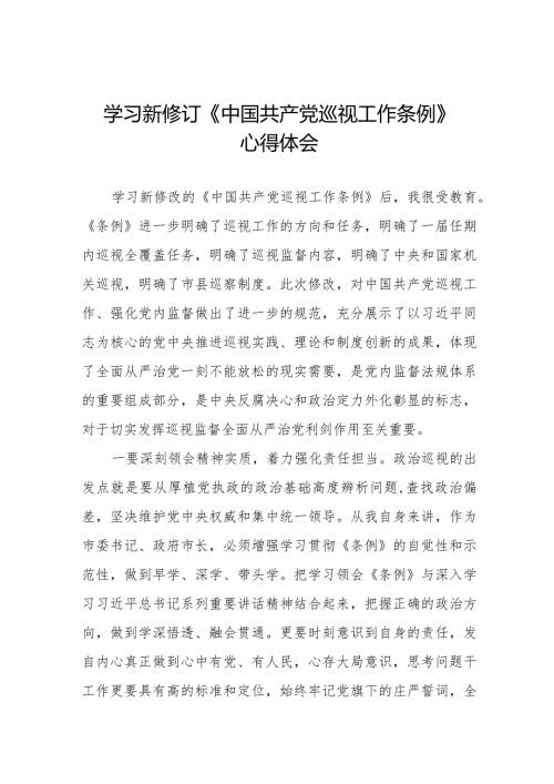 领导干部学习2024版新修订《中国共产党巡视工作条例》心得体会五篇.docx