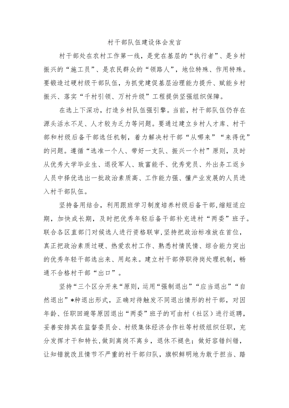 村干部队伍建设体会发言.docx_第1页
