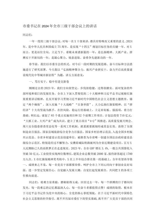市委书记在2024年全市三级干部会议上的讲话.docx