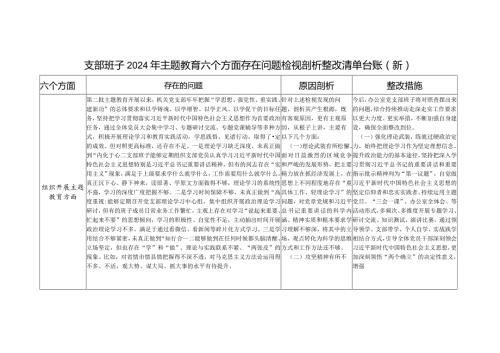 机关党支部班子围绕组织开展主题教育、执行上级组织决定等六个方面存在问题检视剖析整改清单台账.docx