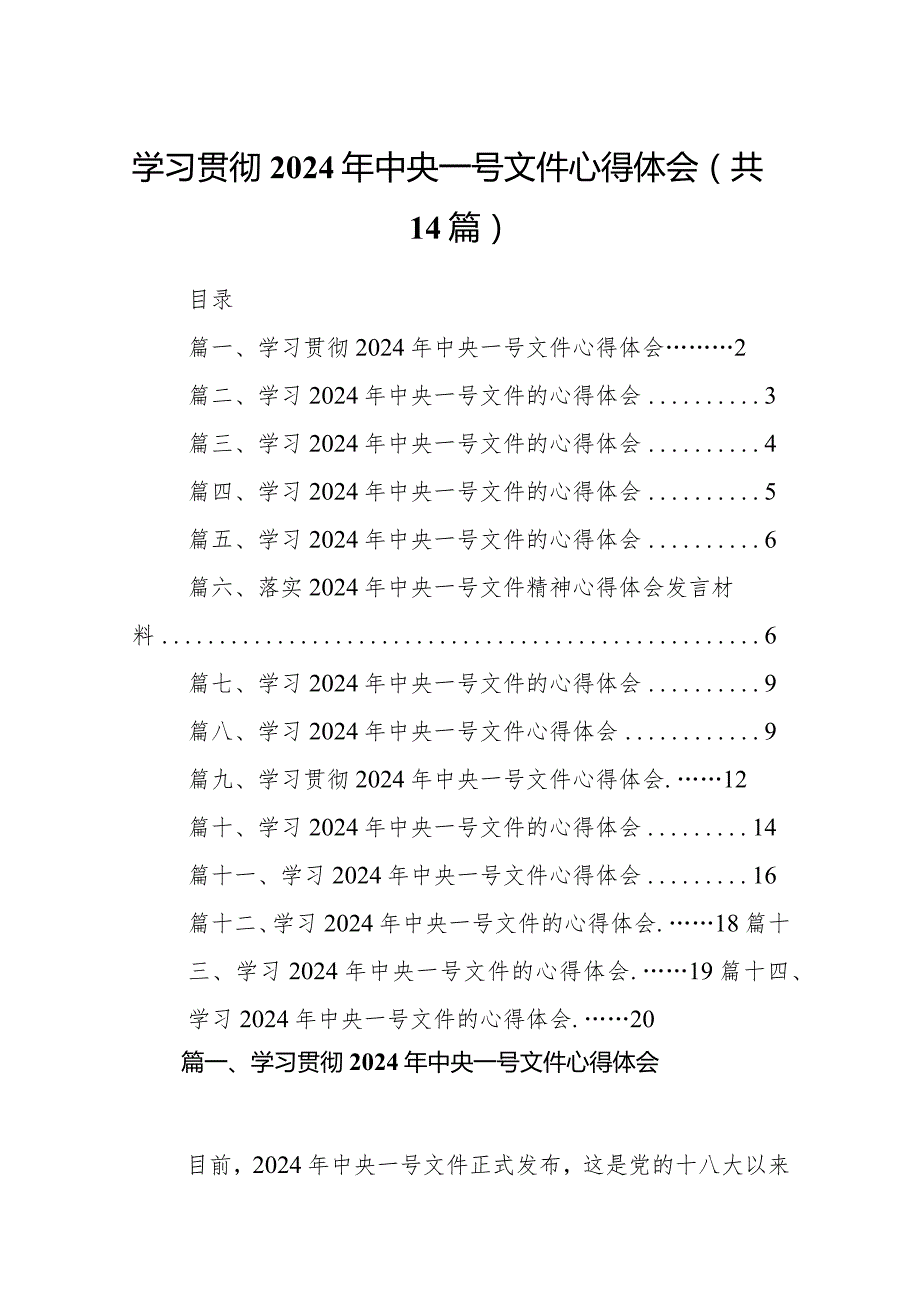 学习贯彻2024年中央一号文件心得体会14篇（完整版）.docx_第1页