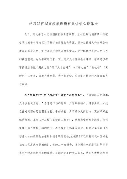 学习践行湖南考察调研重要讲话心得体会.docx
