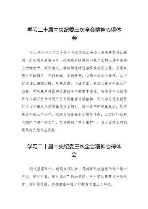 纪检干部关于学习贯彻二十中央纪委三次全会精神的心得感悟(25篇).docx