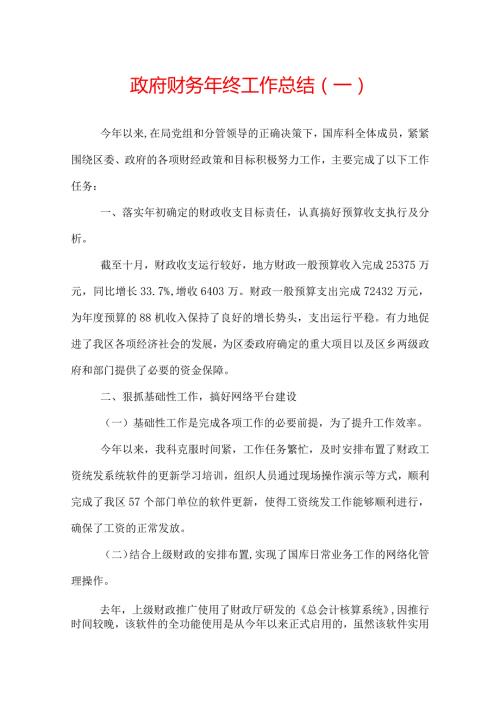 政府财务年终工作总结.docx