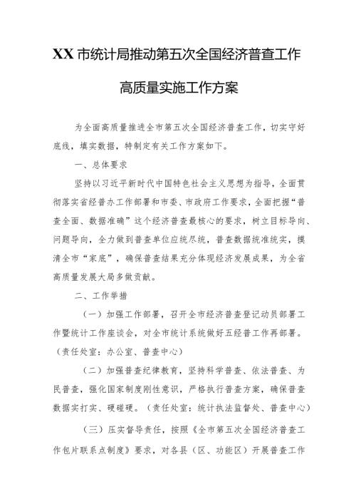 XX市统计局推动第五次全国经济普查工作高质量实施工作方案.docx