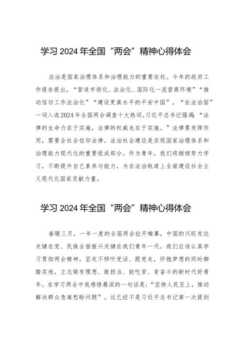 2024年全国两会精神学习体会30篇.docx