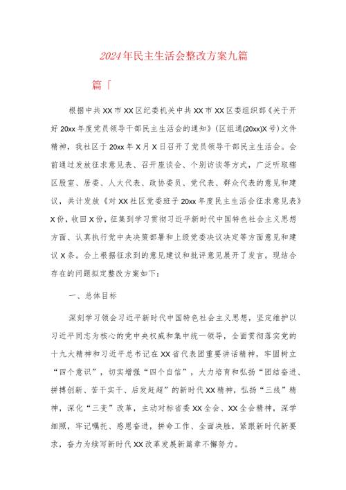2024年民主生活会整改方案九篇.docx