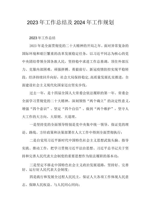 2023年工作总结及2024年工作规划.docx