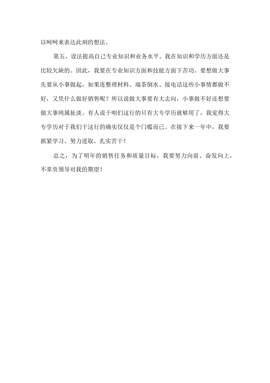 销售个人总结.docx_第2页