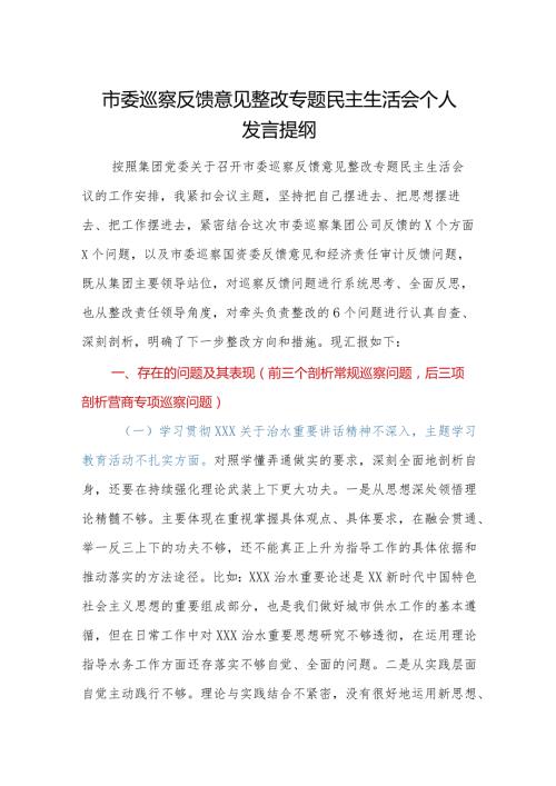 市委巡察反馈意见整改专题民主生活会个人发言提纲.docx