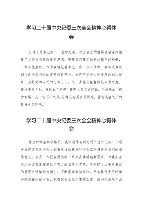 关于二十中央纪委三次全会精神交流发言(25篇).docx