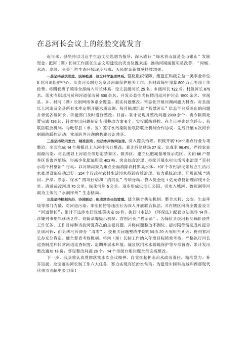 在总河长会议上的经验交流发言.docx