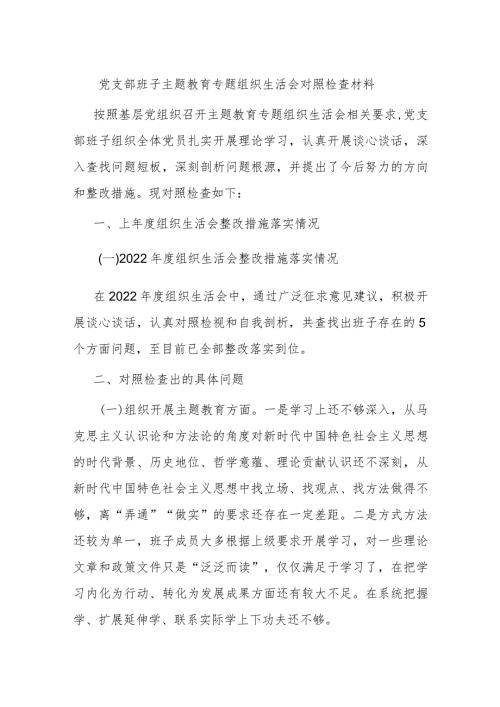 党支部班子主题教育专题组织生活会对照检查材料.docx