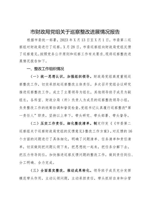 市财政局党组关于巡察整改进展情况报告.docx