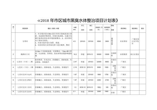 《市区城市黑臭水体整治项目计划表》.docx