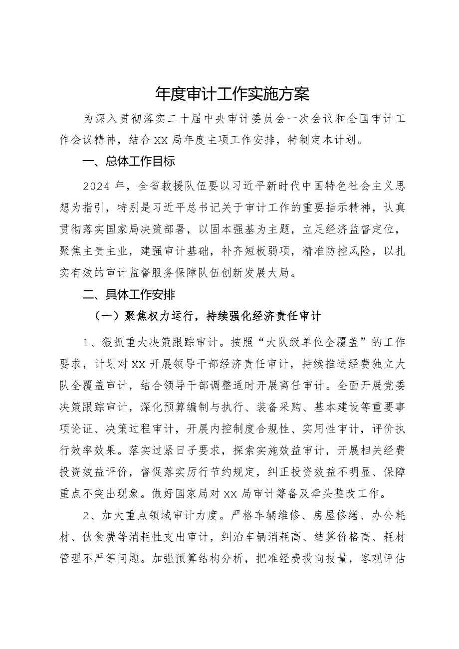 审计工作实施方案.docx_第1页