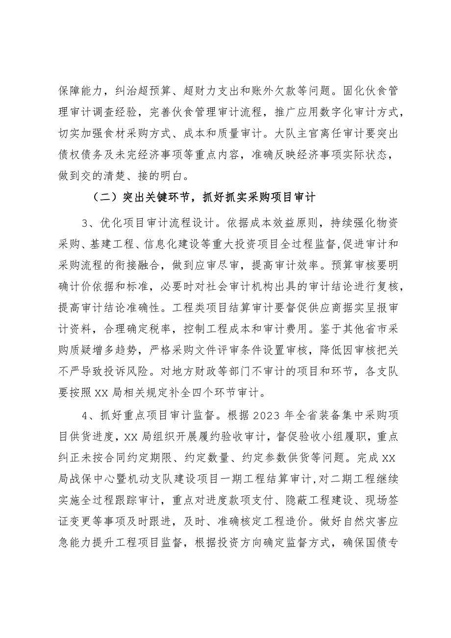 审计工作实施方案.docx_第2页