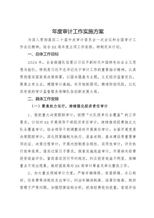 审计工作实施方案.docx