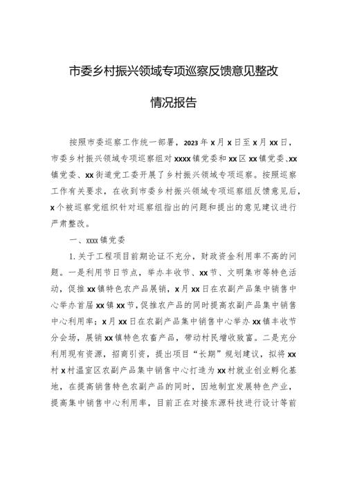 市委乡村振兴领域专项巡察反馈意见整改情况报告.docx