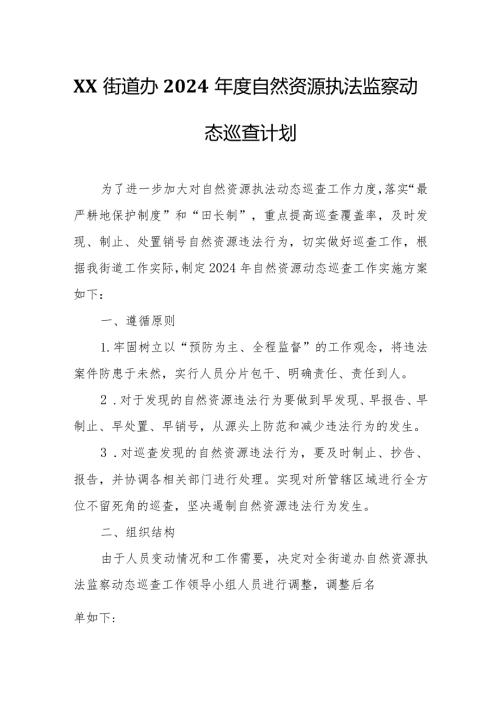 XX街道办2024自然资源执法监察动态巡查计划.docx