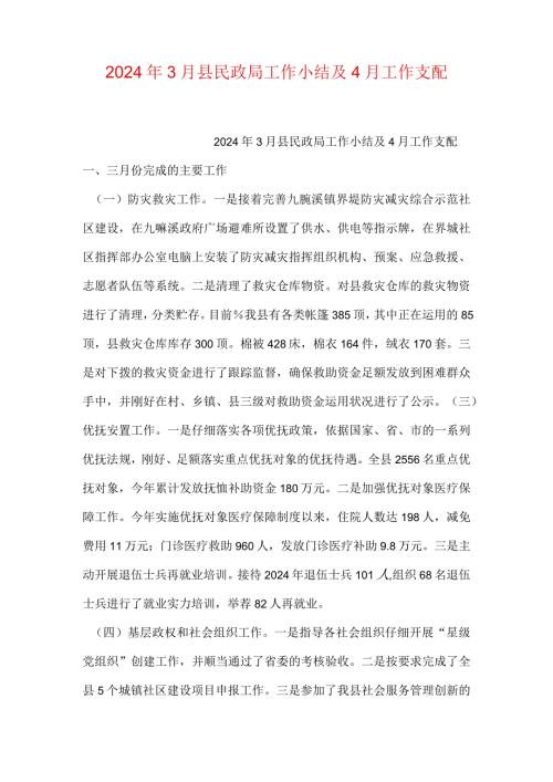 2024年3月县民政局工作小结及4月工作安排.docx