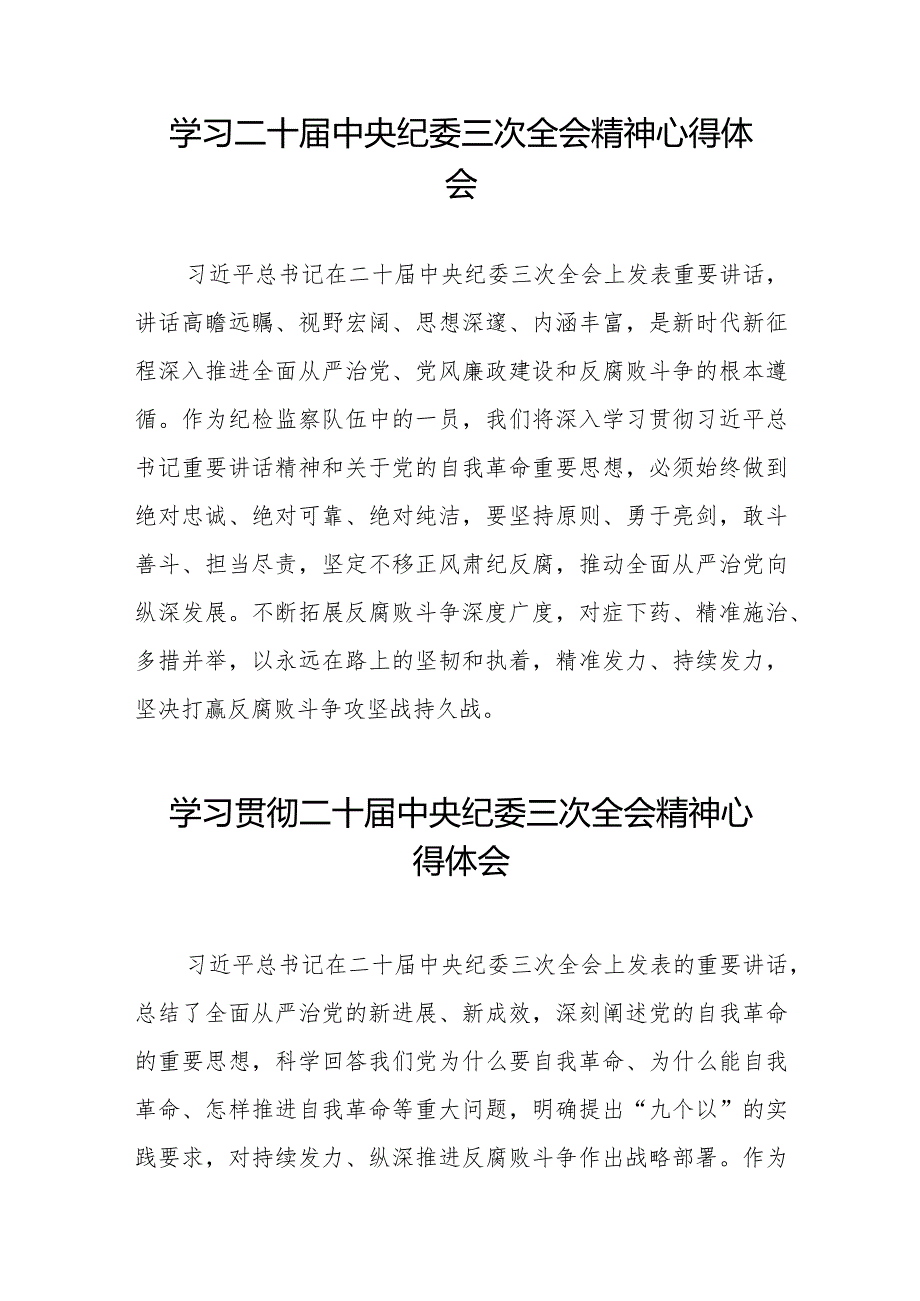 关于二十中央纪委三次全会精神的心得体会(25篇).docx_第3页