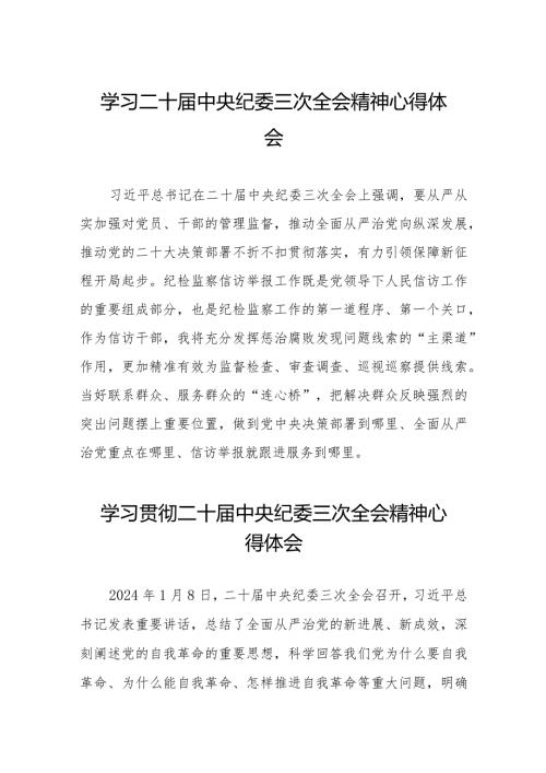 关于二十中央纪委三次全会精神的心得体会(25篇).docx