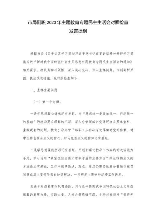 市局副职2023年主题教育专题民主生活会对照检查发言提纲.docx