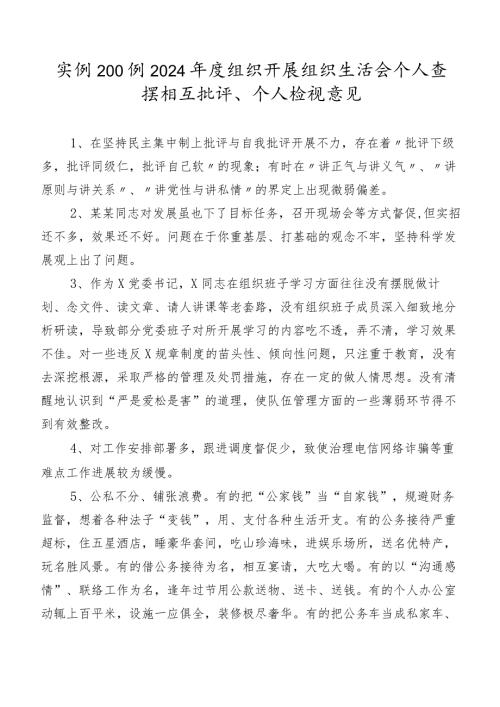 实例200例2024组织开展组织生活会个人查摆相互批评、个人检视意见.docx