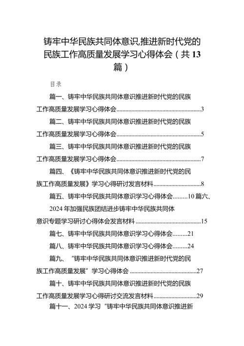 铸牢中华民族共同体意识,推进新时代党的民族工作高质量发展学习心得体会13篇(最新精选).docx